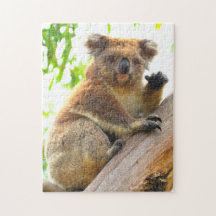 WAVING KOALA 11 x 14 TUM
