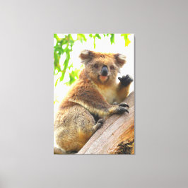 WAVING KOALA 32 x 48 Canvastryck