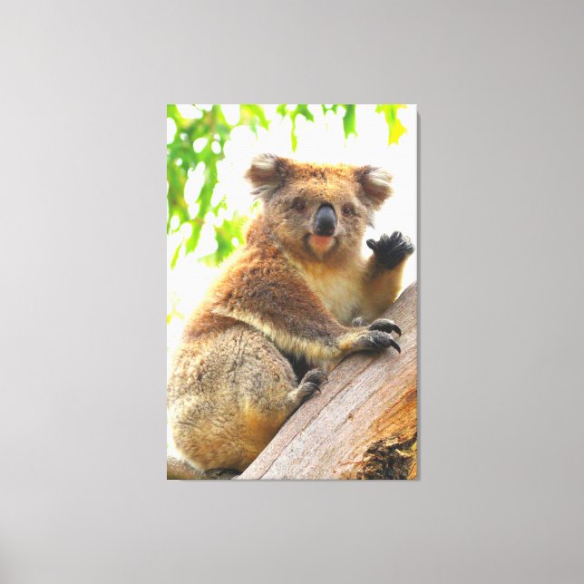 WAVING KOALA 32 x 48 Canvastryck (Framsida)