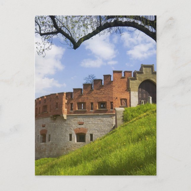 Wawel Castle, Krakow, Polen Vykort (Framsida)