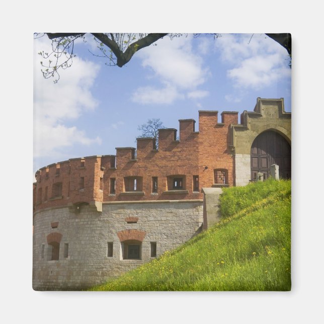 Wawel slott, Krakow, Polen Magnet (Framsidan)