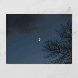 Waxing Crescent Måne i Sagittarius Vykort