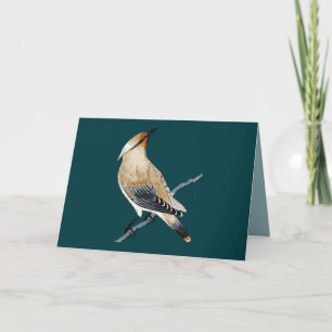 WAXWWWING BLANK ALL-TILLFÄLLE-KORT KORT