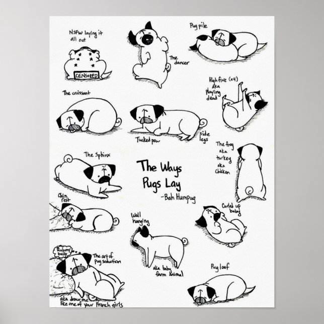 Ways Pugs Ljugit Poster (Framsidan)