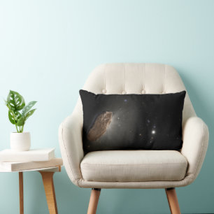 Wayward Interstellar Object Oumuamua. Lumbarkudde