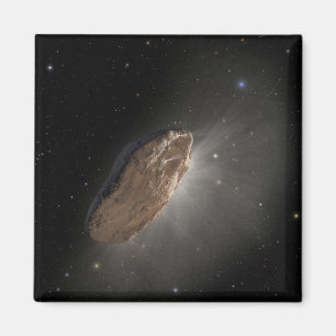 Wayward Interstellar Object Oumuamua. Magnet