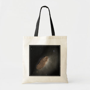 Wayward Interstellar Object Oumuamua. Tygkasse