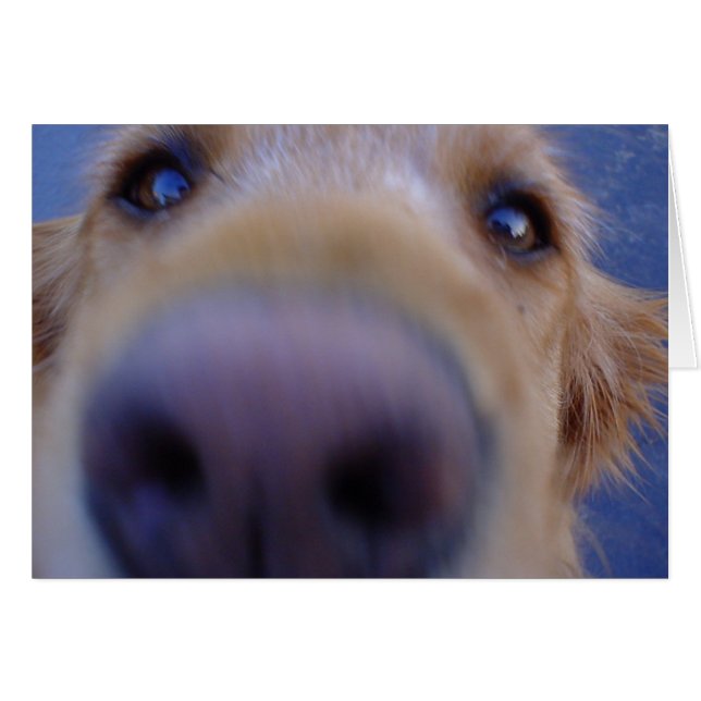 Wazzup? Hälsningskort (Framsidan Horizontal)