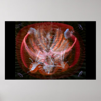 WDV - 041 - Kindle Poster