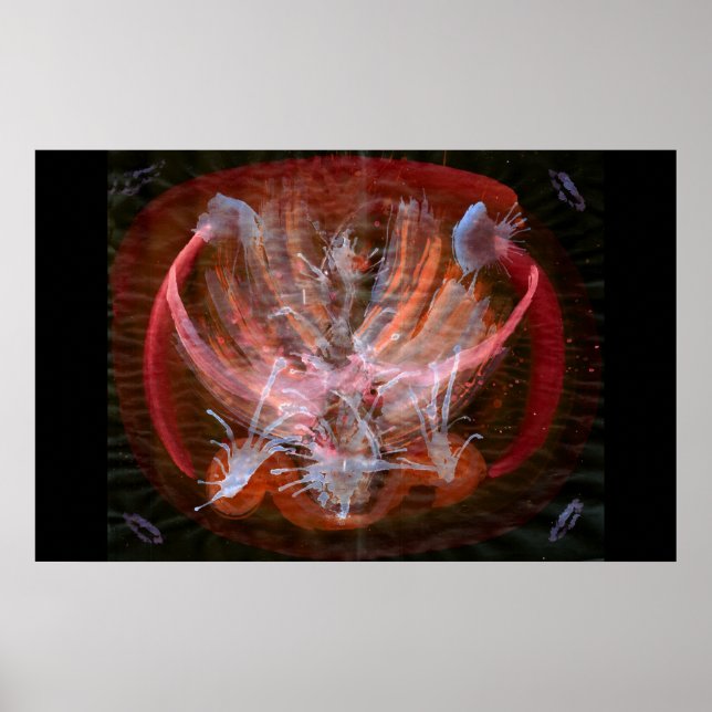 WDV - 041 - Kindle Poster (Framsidan)