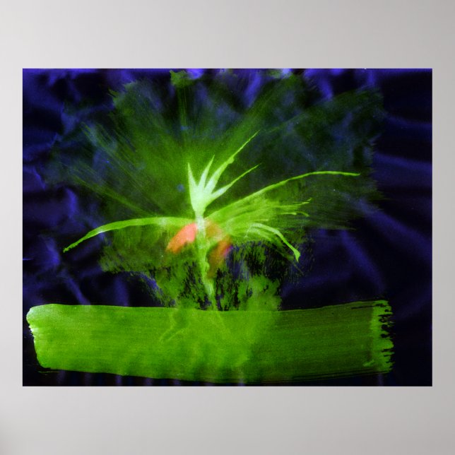 WDV - 068 - Flower Poster (Framsidan)