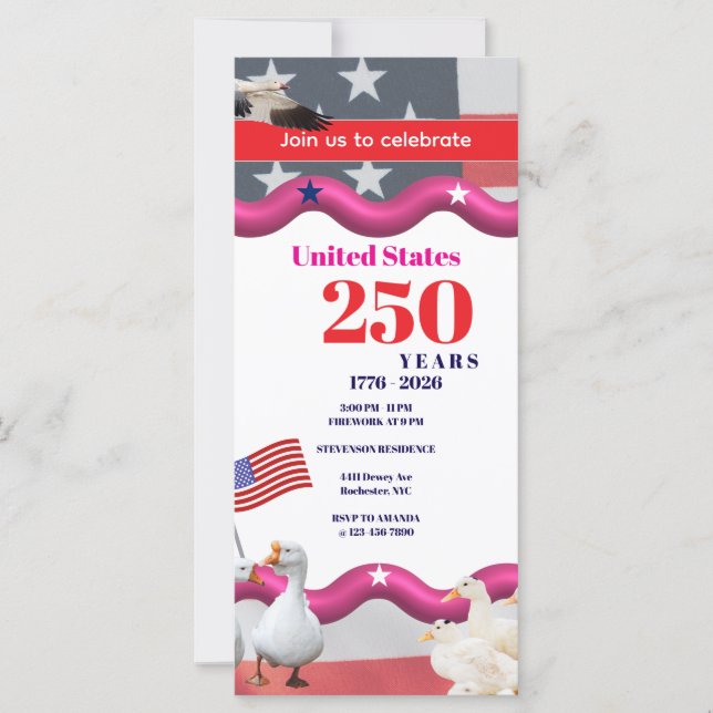 We The Silly Geese 250th Funny Celebration (Framsida)