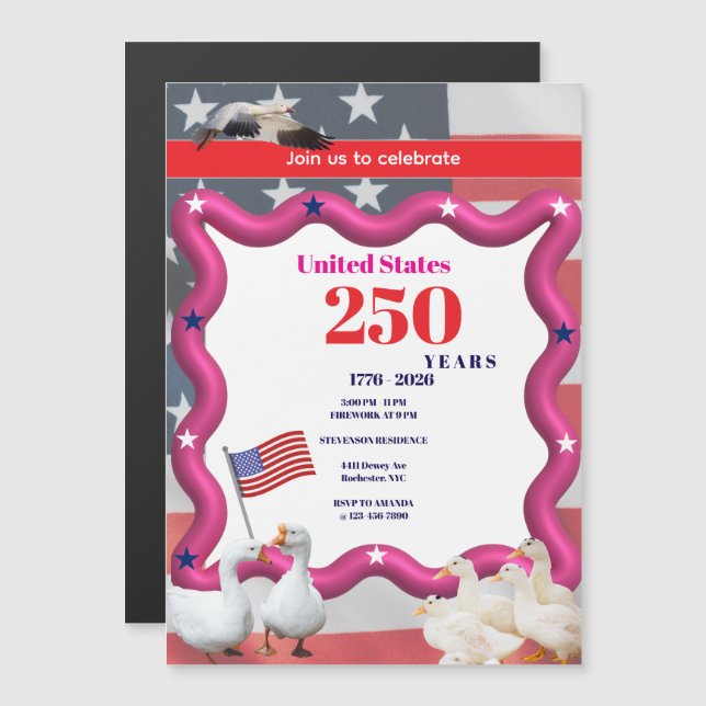 We The Silly Geese 250th Funny Celebration (Fram/baksida)