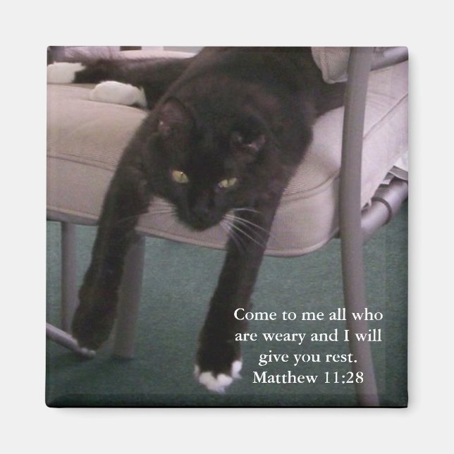 Weary B magnet (Framsidan)