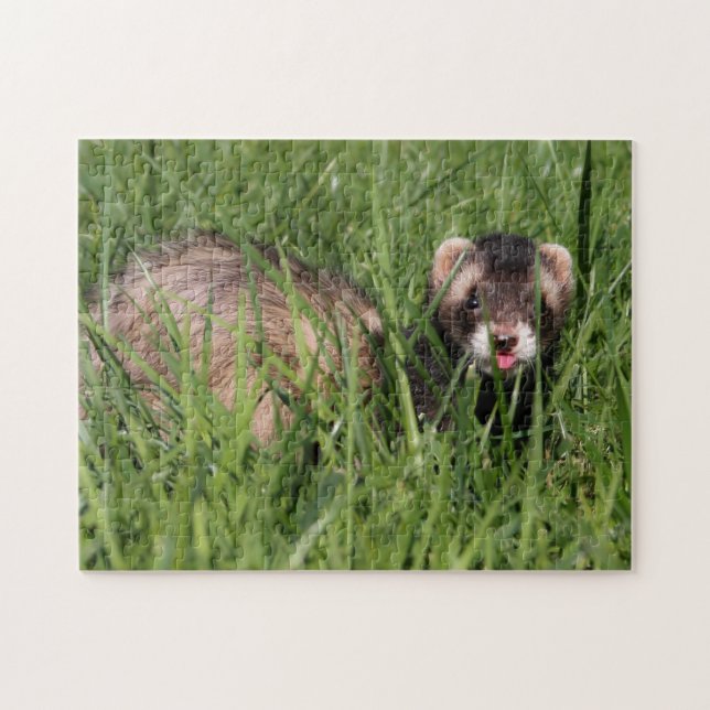 Weasel Garden Puzzle - Sable Ferret Pussel (Horisontell)