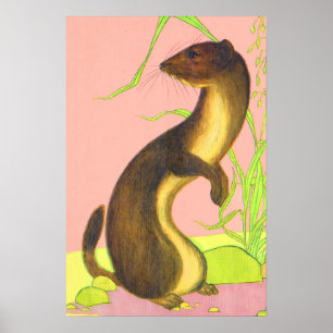 weasel-utskrift poster