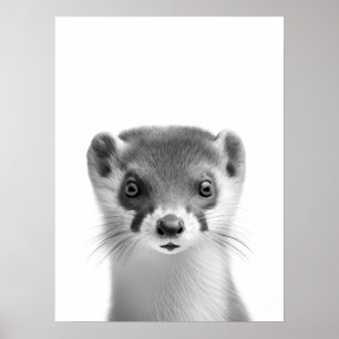 Weasel Woodland Modern Porträtt svart vit Poster