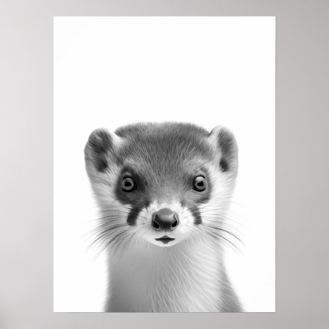 Weasel Woodland Modern Porträtt svart vit Poster (Framsidan)