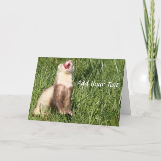 Weasels är söta. Hårig illrar\ Helgkort (Framsida)