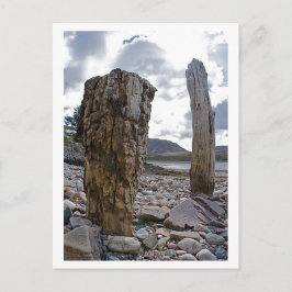 Weasted Net Posts by Loch Kishorn Postcard Vykort