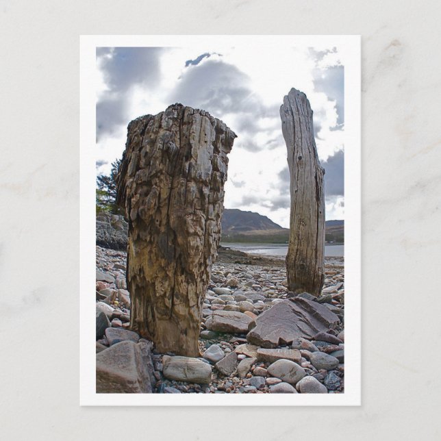Weasted Net Posts by Loch Kishorn Postcard Vykort (Framsida)