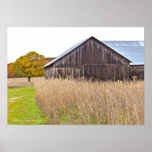 "WEATHERED BARN, TALL GRASS AND TRÄD" POSTER