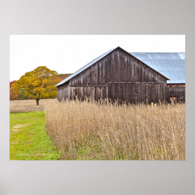 "WEATHERED BARN, TALL GRASS AND TRÄD" POSTER (Framsidan)