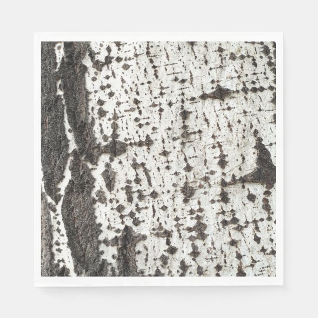 Weathered birch trunk pappersservett (Framsidan)