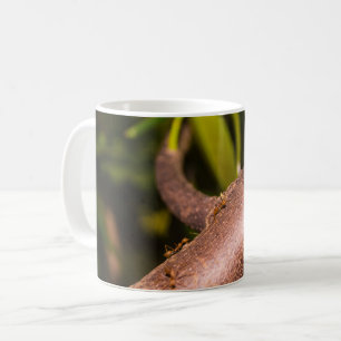 Weaver Ants på en Wood Kaffemugg