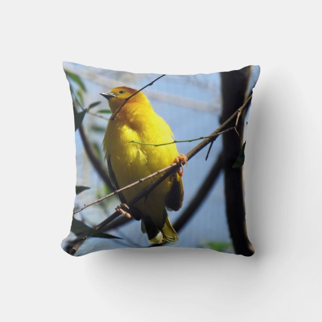 Weaver Bird Pillow Kudde (Framsida)