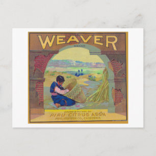 Weaver Orange LabelPiru, CA Vykort