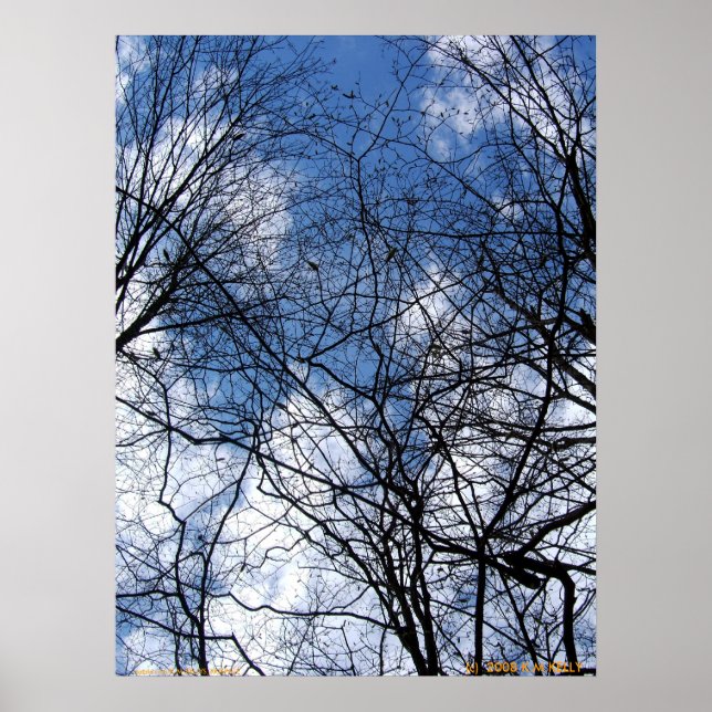 WEBBED HIMLAR. POSTER (Framsidan)