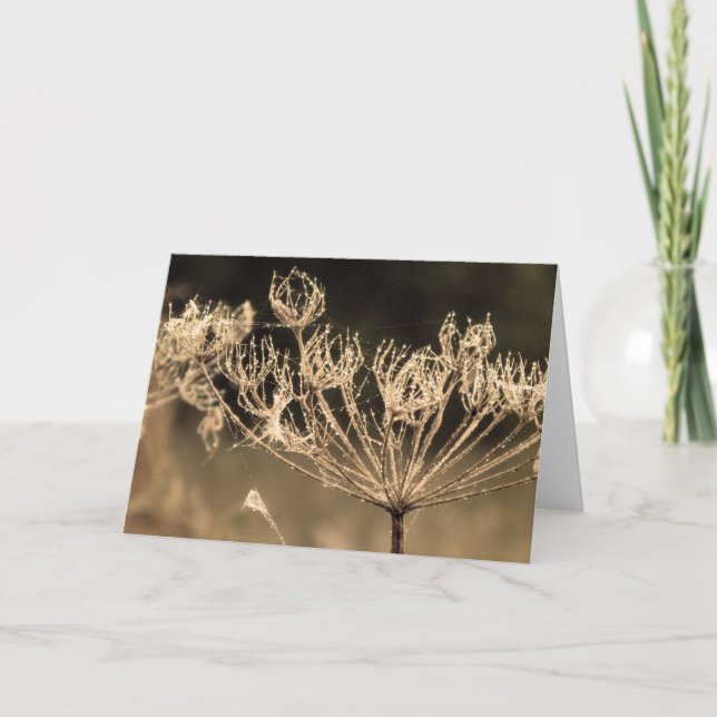 Webben av blommor och spindlar i sepia kort (Framsida)