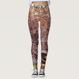 Webben av European Garden Spider Leggings