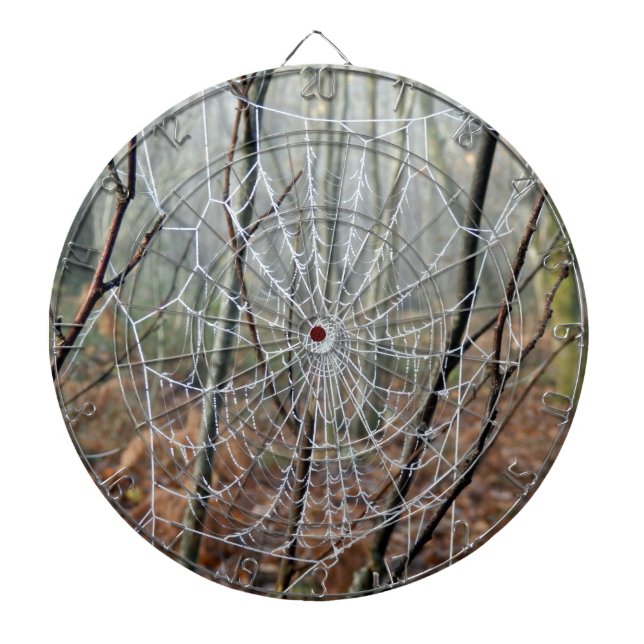 Webben av europeiska Garden Spider Dartboard Darttavla (Framsidan)