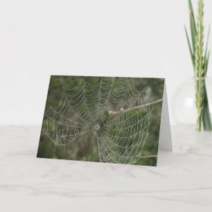 Webben för lagning kort