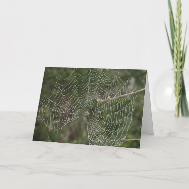 Webben för lagning kort (Framsida)