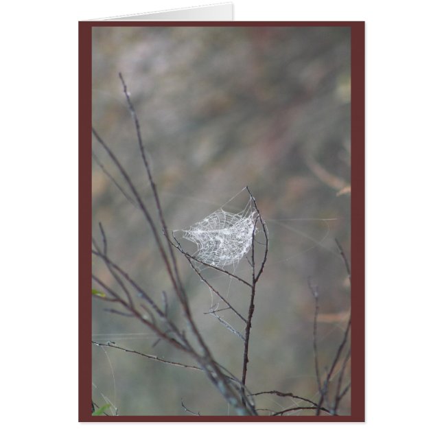 webben OBS kort (Framsidan)