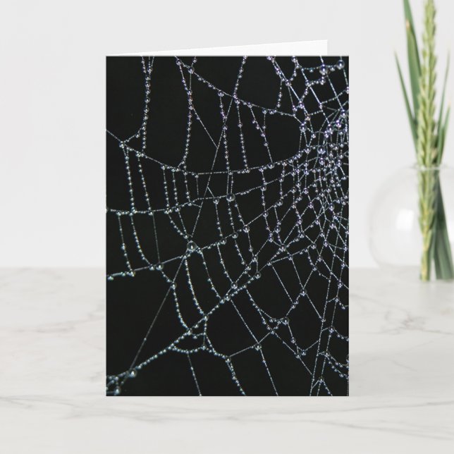 Webbenunder Kort (Framsida)