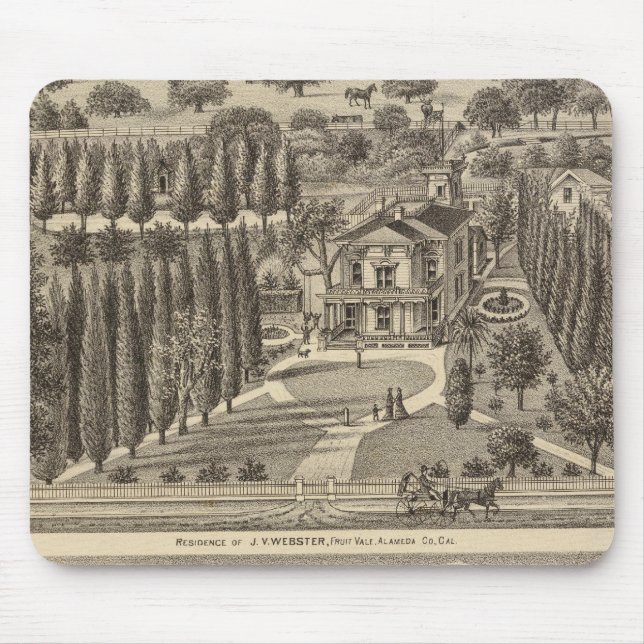 Webster, Badger Bostäder Musmatta (Framsidan)