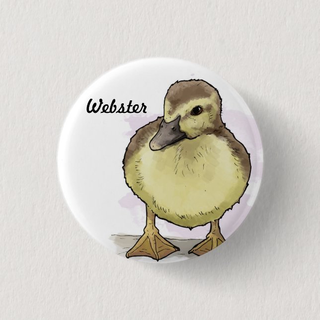 Webster knäppas knapp (Framsida)