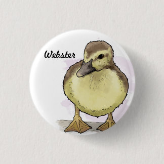 Webster knäppas knapp