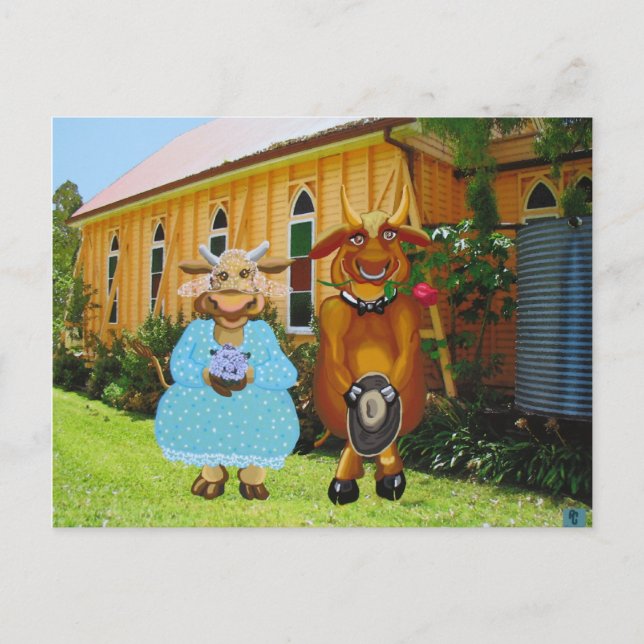 Weddabull Vykort (Framsida)