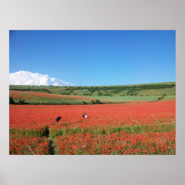 Wedding photo in a field of Red Poppies Poster (Framsidan)