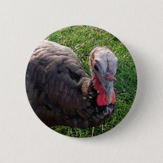 Wedrose tunnland knäppas 1 knapp