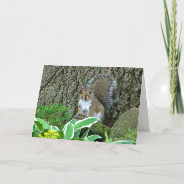 Wee Princess Helgkort (Framsida)