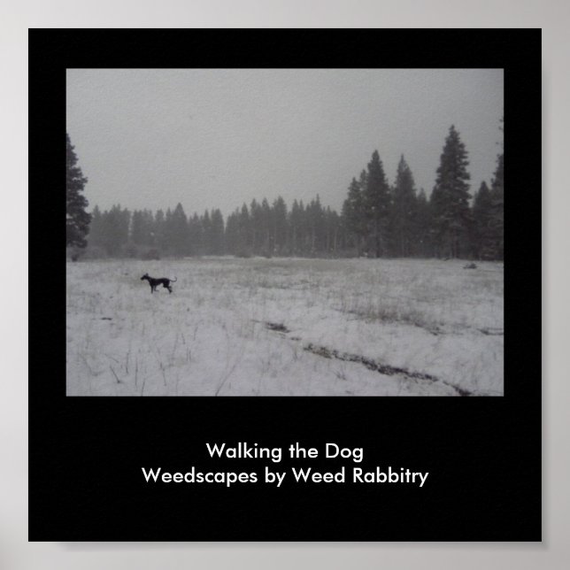 WeedScapes av Ogräs Poster (Framsidan)