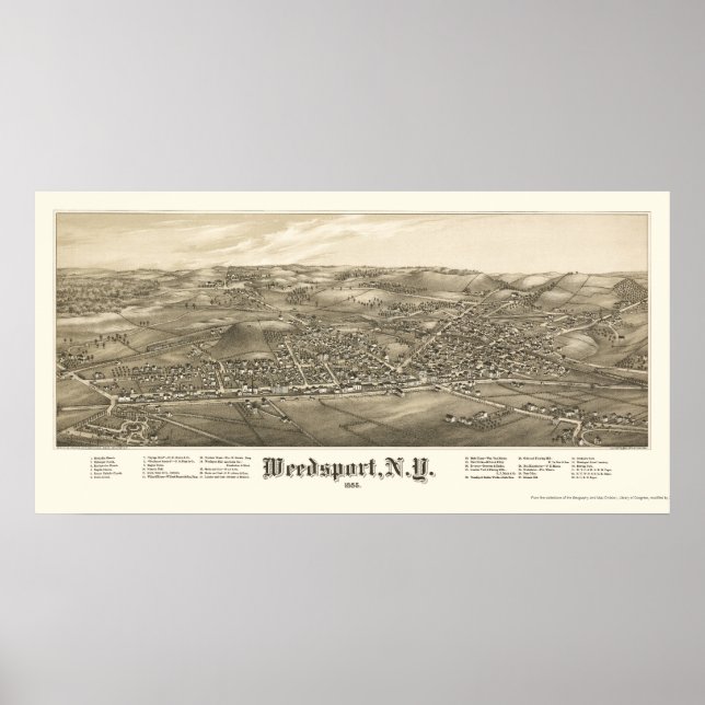 Weedsport, NY Panoramic Karta - 1885 Poster (Framsidan)