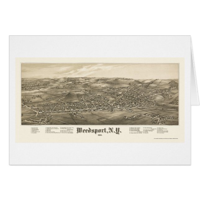 Weedsport panorama- karta för NY - 1885 Hälsningskort (Framsidan Horizontal)