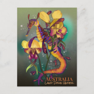 Weedy Seadragon med Orchids Vykort
